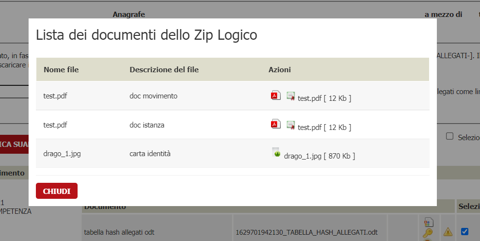 dettaglio contenuto zip logico
